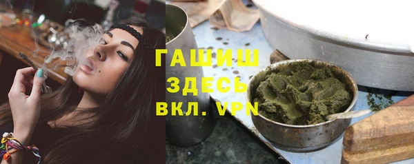 PSILOCYBIN Горнозаводск