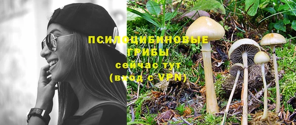 PSILOCYBIN Горнозаводск