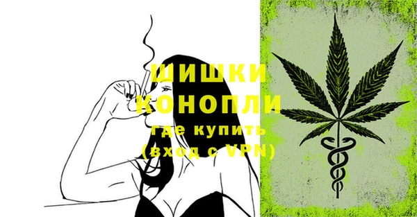 PSILOCYBIN Горнозаводск