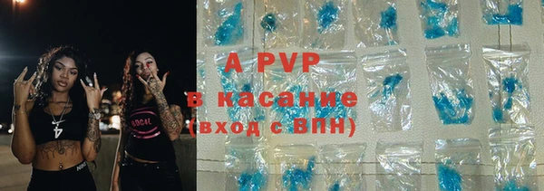 PSILOCYBIN Горнозаводск