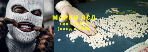 PSILOCYBIN Горнозаводск