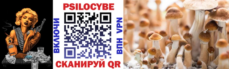 Псилоцибиновые грибы мухоморы  закладка  Советская Гавань 